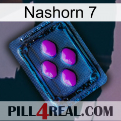 Rhino 7 04